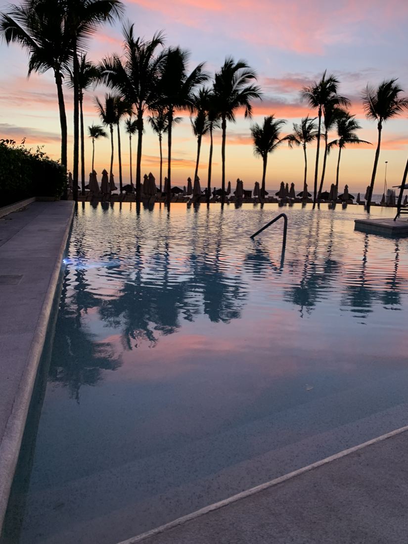 Palm trees reflected in a still pool at sunset
